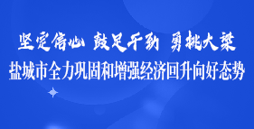鹽城市全力鞏固和增強經(jīng)濟回升向好態(tài)勢專題
